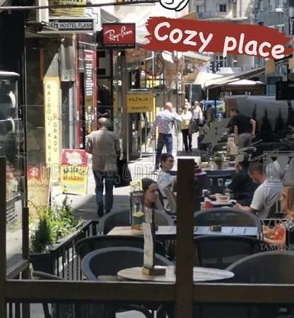 Cozy Place Belgrad Dış mekan fotoğraf